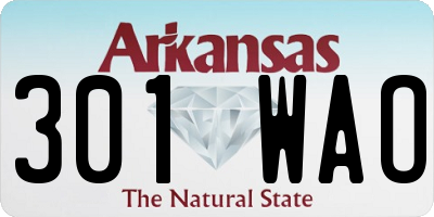 AR license plate 301WAO