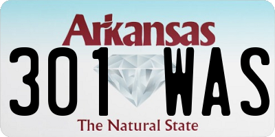 AR license plate 301WAS