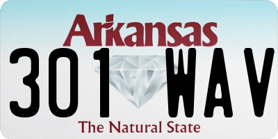 AR license plate 301WAV
