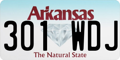 AR license plate 301WDJ