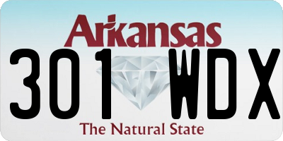 AR license plate 301WDX