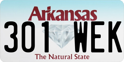 AR license plate 301WEK