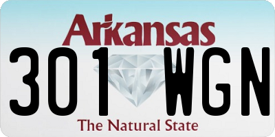 AR license plate 301WGN