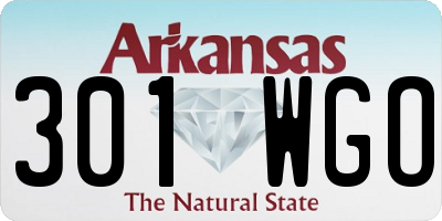 AR license plate 301WGO