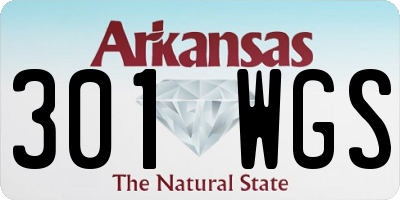 AR license plate 301WGS