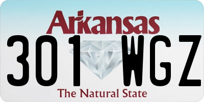 AR license plate 301WGZ