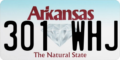 AR license plate 301WHJ