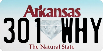 AR license plate 301WHY