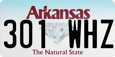 AR license plate 301WHZ