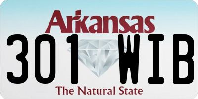 AR license plate 301WIB