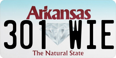 AR license plate 301WIE