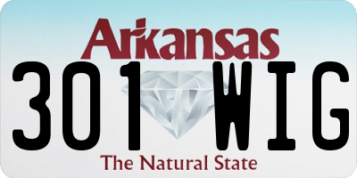 AR license plate 301WIG