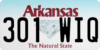 AR license plate 301WIQ