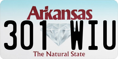 AR license plate 301WIU