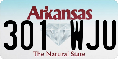 AR license plate 301WJU