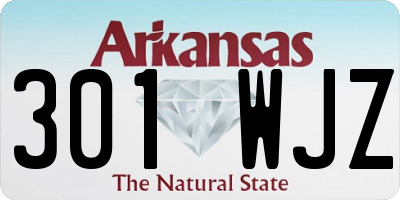 AR license plate 301WJZ