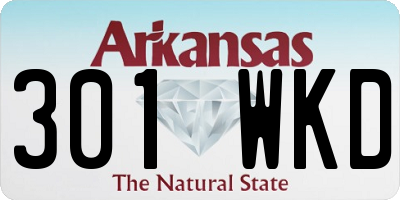 AR license plate 301WKD