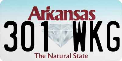 AR license plate 301WKG