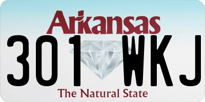 AR license plate 301WKJ