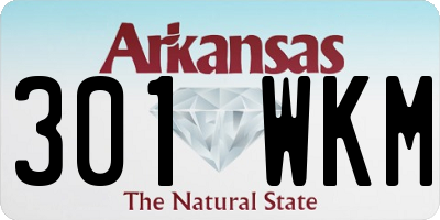 AR license plate 301WKM