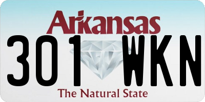 AR license plate 301WKN