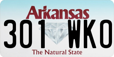 AR license plate 301WKO