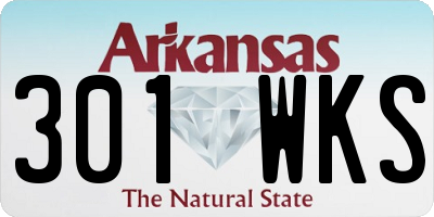 AR license plate 301WKS