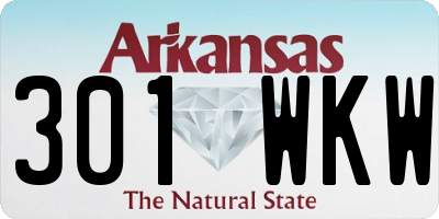 AR license plate 301WKW