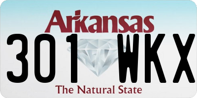 AR license plate 301WKX