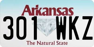 AR license plate 301WKZ