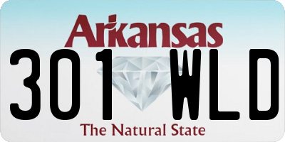 AR license plate 301WLD