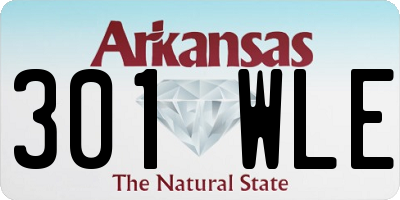 AR license plate 301WLE