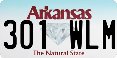 AR license plate 301WLM