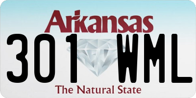 AR license plate 301WML