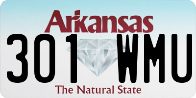 AR license plate 301WMU