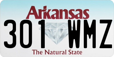 AR license plate 301WMZ