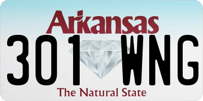 AR license plate 301WNG