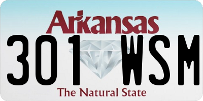 AR license plate 301WSM