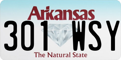 AR license plate 301WSY