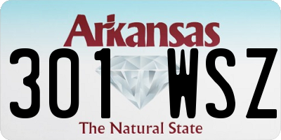 AR license plate 301WSZ