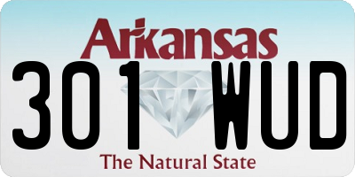AR license plate 301WUD