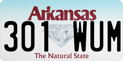 AR license plate 301WUM