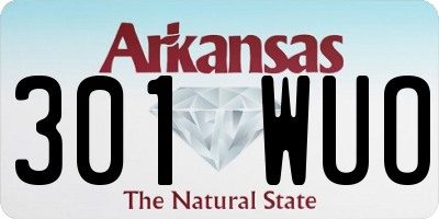 AR license plate 301WUO