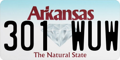 AR license plate 301WUW