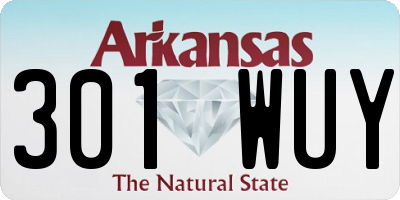 AR license plate 301WUY