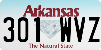AR license plate 301WVZ