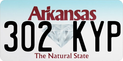 AR license plate 302KYP