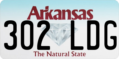 AR license plate 302LDG
