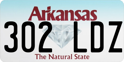 AR license plate 302LDZ
