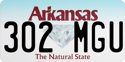 AR license plate 302MGU